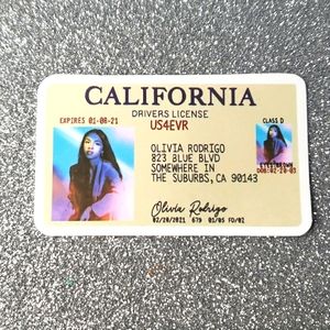 10/$10 Waterproof Sticker Olivia Rodrigo